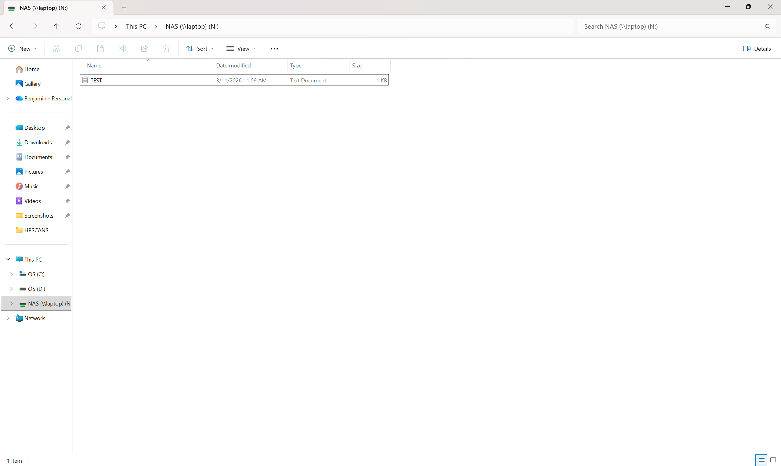 Windows File Explorer showing successful access to the NAS share